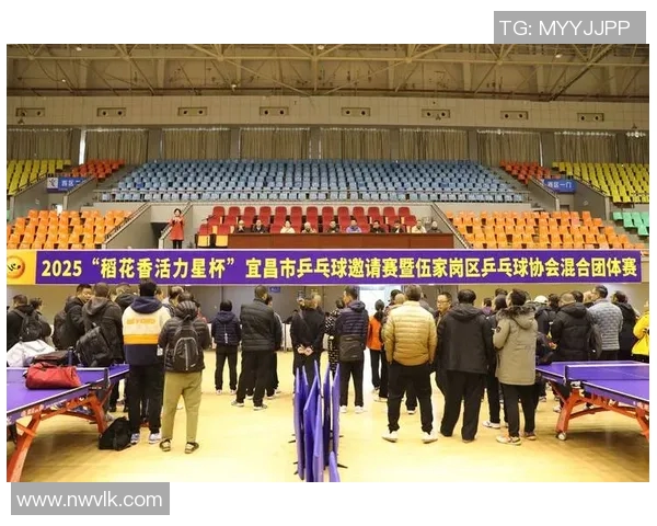 乒乓球赛事解说阵容正式揭晓众多知名解说员倾情加盟精彩赛事即将来临